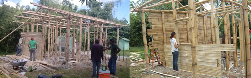 Construccion de las casas de bambu para las familias con pocos recursos