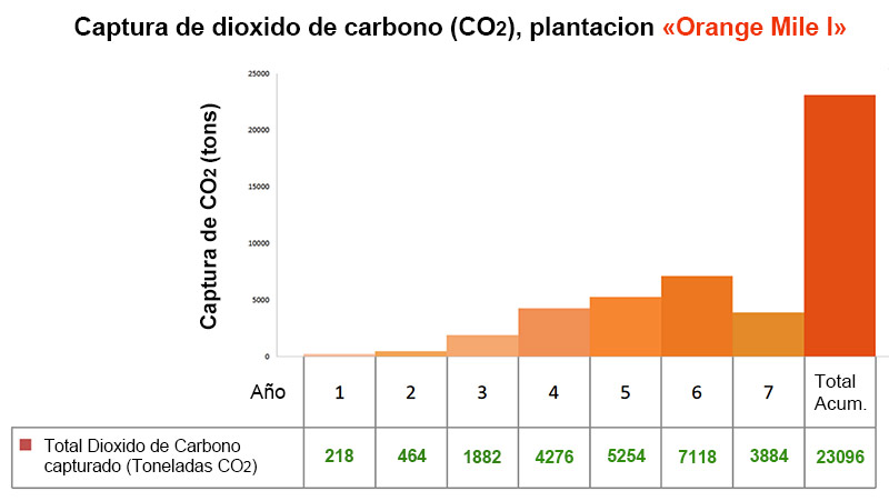 Gráfico captacion de dioxido de carbono por plantas, vivero "Orange Mile" by EcoDominicana