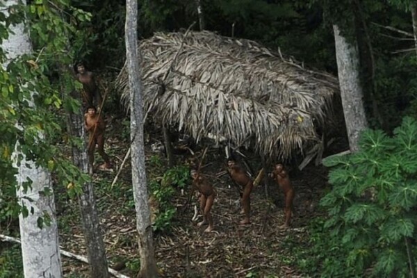Quiénes son los miembros de la tribu que asesinó de un flechazo a un directivo de la Fundación Nacional del Indio en el Amazonas brasileño