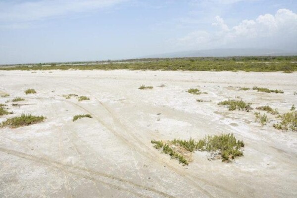 Medio Ambiente inicia trabajos para mitigar sequía que afecta Laguna Cabral