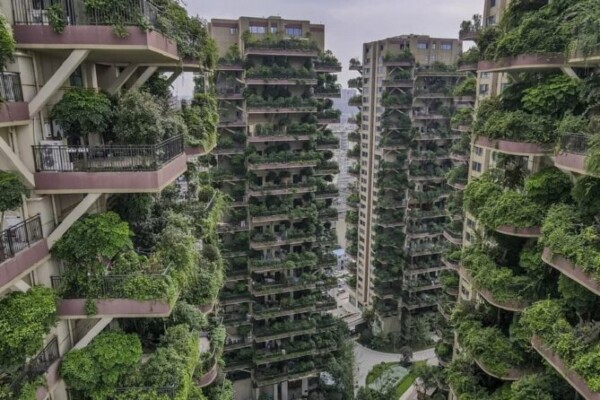 Proyecto Bosque Vertical: De jungla urbana a pesadilla para inquilinos