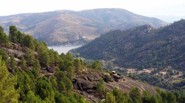 Bosques Sostenibles reforestará con casi 300.000 árboles el valle de Iruelas (Ávila) | http://www.ecoticias.com/naturaleza/205705/Bosques-Sostenibles-reforestara-casi-300-000-arboles-valle-Iruelas-Avila