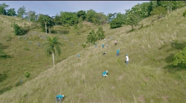 Edenorte auspicia jornada reforestación en comunidad de Bonao