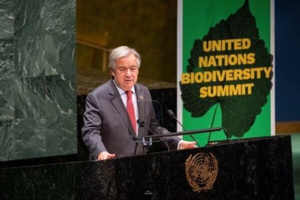 La ONU llama al mundo a “reconstruir” su relación con la naturaleza