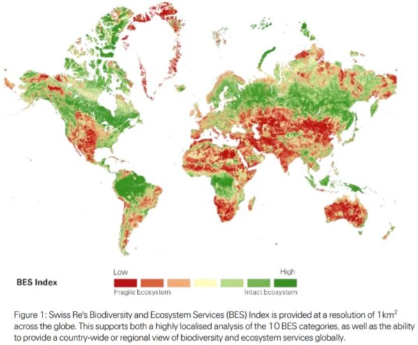 Una quinta parte de los países están en riesgo de colapso de ecosistemas