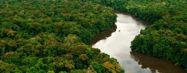 La Amazonia: clima, vegetación, demografía, colonización e historia