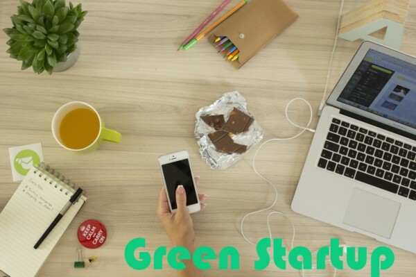«Green startup»: el negocio del futuro es verde, sostenible y online