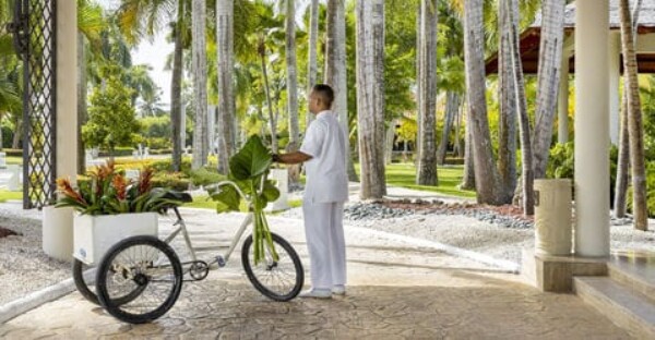 Lo novedoso del Paradisus Palma Real en Punta Cana que ya abrió sus puertas al turismo