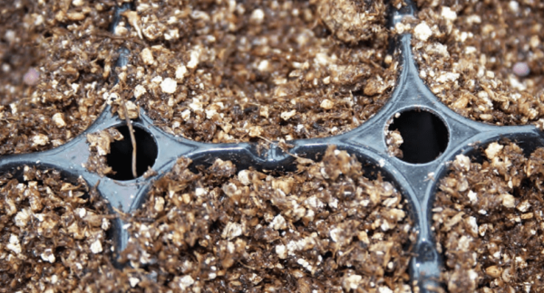 Cómo utilizar la turba rubia de Sphagnum en horticultura