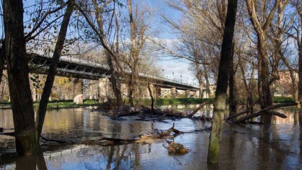 Celma (PP) reitera la urgencia de que el Gobierno de Aragón limpie el cauce del río Ebro y drague zonas concretas | http://www.ecoticias.com/residuos-reciclaje/207233/Celma-PP-reitera-urgencia-Gobierno-Aragon-limpie-cauce-rio-Ebro