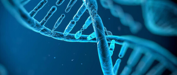 Silenciamiento genético mediante micro ARNs