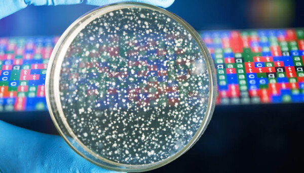 Modificación al azar del genoma en bacterias