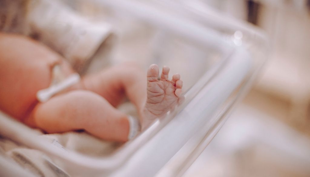 Un ambiente de luz controlada beneficia el desarrollo de neonatos prematuros 