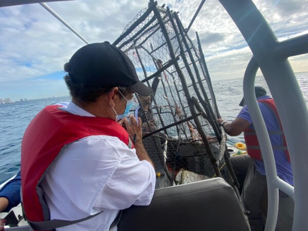 En operativo conjunto Ministerio de Medio Ambiente y de Defensa detienen 11 personas e incautan redes de pesca ilegales en litoral Sur