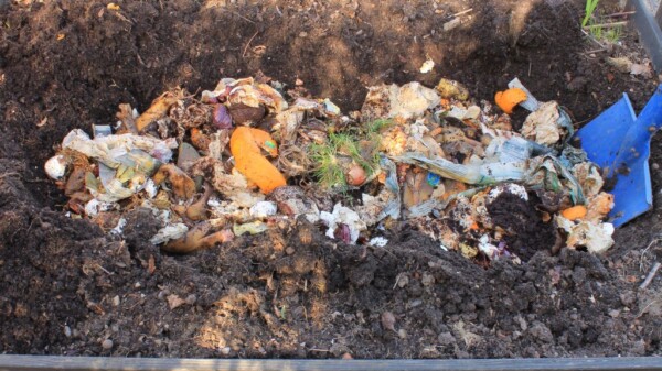 ¿Qué fauna interviene en el compost?