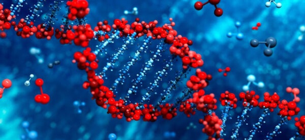 Regulación en la expresión del ADN