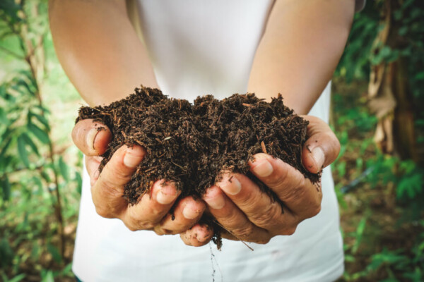 Materia orgánica del suelo y dosis de compost para aumentarla