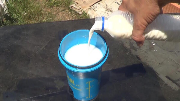 Cómo hacer un fungicida casero con leche para combatir los hongos