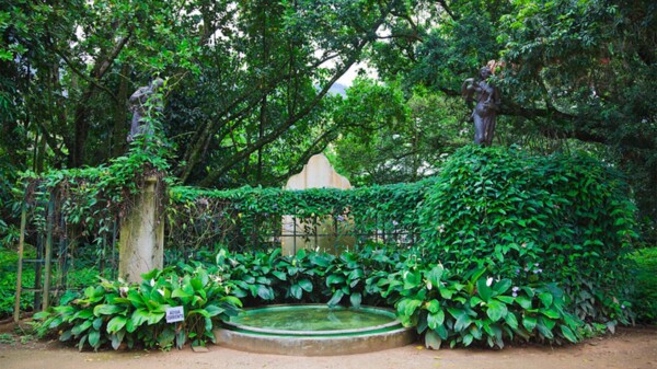 El Jardín botánico de Río, maravilla natural a los pies del Corcovado