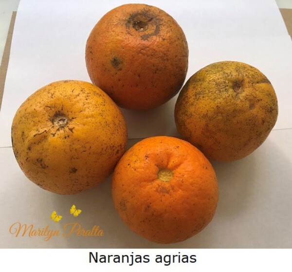 Naranja agria