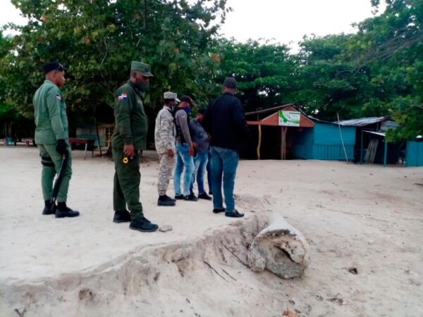 Detienen hombres por pesca ilegal de un tiburón en playa Rincón, Samaná