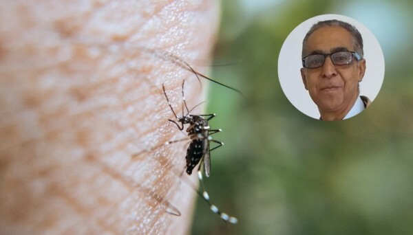 ¿Qué se requiere para erradicar brotes de malaria en el país?