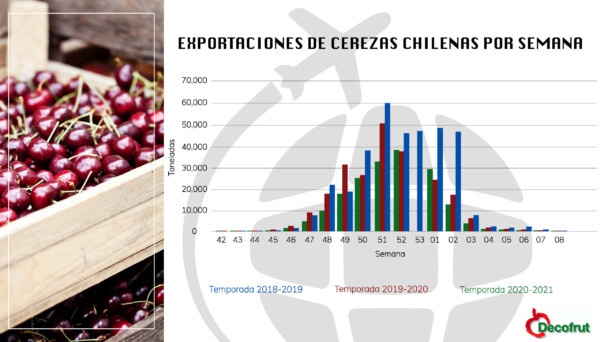 Análisis de las exportaciones de cerezas chilenas por semana