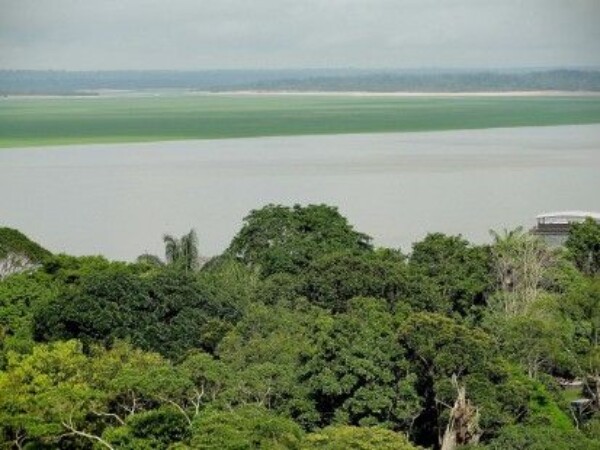 La Asamblea francesa aprueba una ley del clima con medidas para la Amazonía