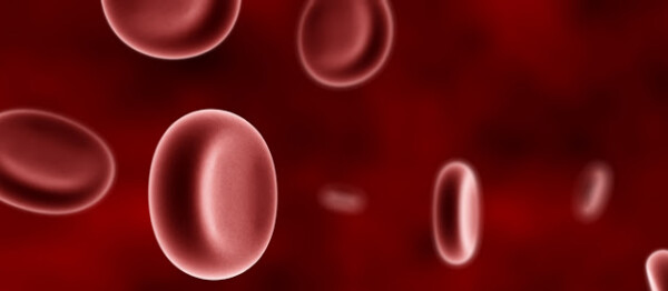 La sangre: glóbulos rojos, glóbulos blancos y plaquetas