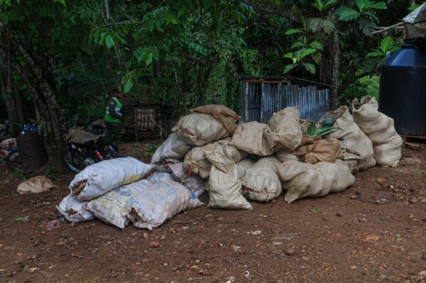 Medio Ambiente retira mercados informales ubicados en las inmediaciones del Parque Nacional Los Haitises