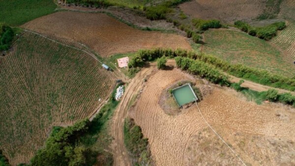 Agricultura ilegal en el sur de Valle Nuevo sigue imperante